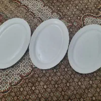 ظروف چینی پردیس