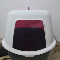 ظرف خاک گربه