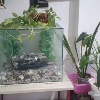 اکواریوم خوش قیمت