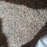 گاودانه