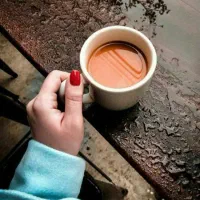 فروش قهوه عمده و جزئی عربیکا روبوستا