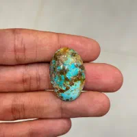 فیروزه نیشابوری مغز