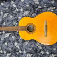 گیتار نو