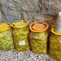 ترشی بیلهر