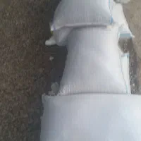 لوبیا چیتی