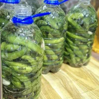خیار شور ترد محلی