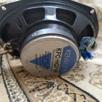 یک عدد کنود سالم