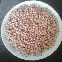لوبیا چیتی سرحد