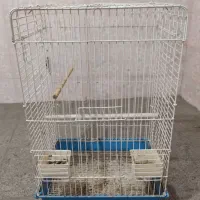 قفس کاسکو طوطی بزرگ