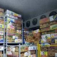 باربری|خدمات حمل و نقل|مشهد, کوثر|دیوار