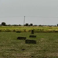 پرس یونجه درجه یک تحویلی درب دامداری