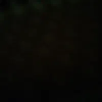 سیم کارت دایمی ایرانسل