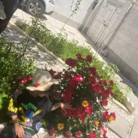 ویلایی