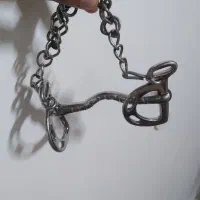 دهنه اسب