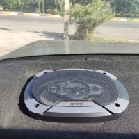 ضبط باند میدرنج