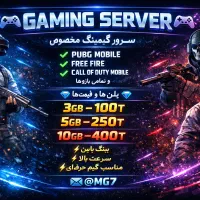 سرور گیمینگ برای پابجی و فری فایر و کالاف
