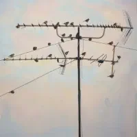 خدمات سریع آنتن