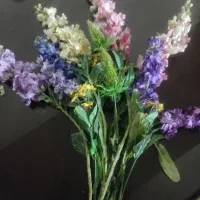 تعدای گل سنبل