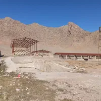 گاوداری صنعتی دارای مجوزرسمی ازجهاد وتغییر کاربری