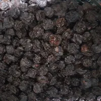 ۲۰۰ کیلو الوچه و الو خشک مراغه درجه ۱