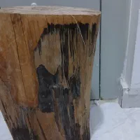 تنه درخت گردو و گلدان