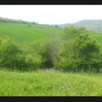 زمین زراعی باغی