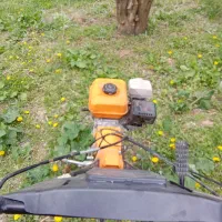 شخم زنی باغ انگور زیر درخت به صورت مترا ژ کنتارات