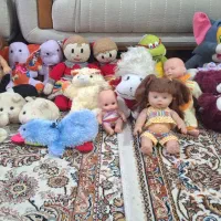 عروسک|اسباببازی بچه|گرگان, |دیوار
