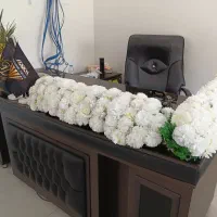 تشریفات و ظروف کرایه دانشمندی