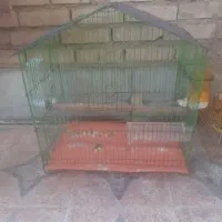 قفس پرنده