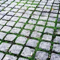 بزرگترین تولید کننده کوبیک در خراسان رصوی