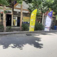 همکار خانم در دفتر پیشخوان دولت