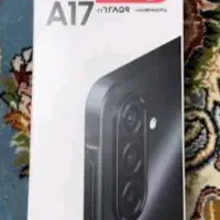 a17