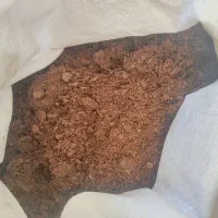 خاک بستر حلزون