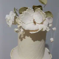 ماکت کیک ۵طبقه لوکس