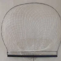 تله کفتر سرعتی