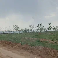 فروش قطعات۵۰۰متری باغات دوردیواربابرق وآب فردوسی