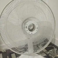 پنکه مارک سانی