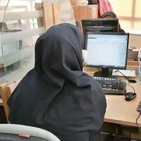 و خدمات تهیه و تامین مالی، حسابرس