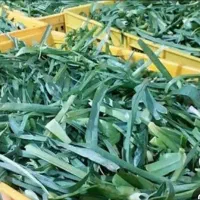 سبزی پاک کرده .شستن سبزی.خوردکردن سبزیجات