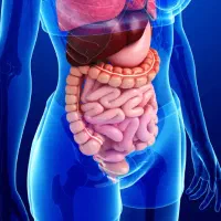 بهبود کامل مشکلات گوارشی/کبدچرب/دیابت