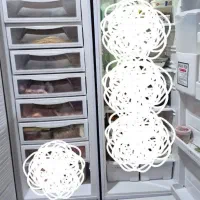 یخچال فریزر دو قلو بدون برفک سفید راور