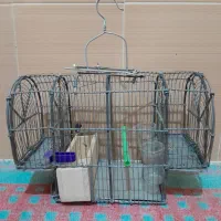 قفس|لوازم جانبی حیوانات|بروجرد, |دیوار