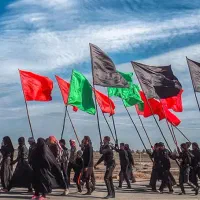 مسافر کربلا فوری
