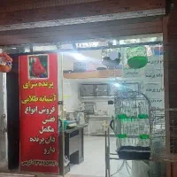 پرنده سرای آشیانه طلایی