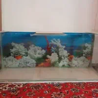 تنگ یا آکواریوم