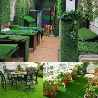 دفتر پخش چمن مصنوعی گرینوال چمن فنس برگی