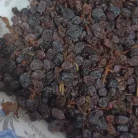 معصولی آبگیری