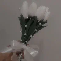 عاشق گلی