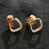 بدلیجات